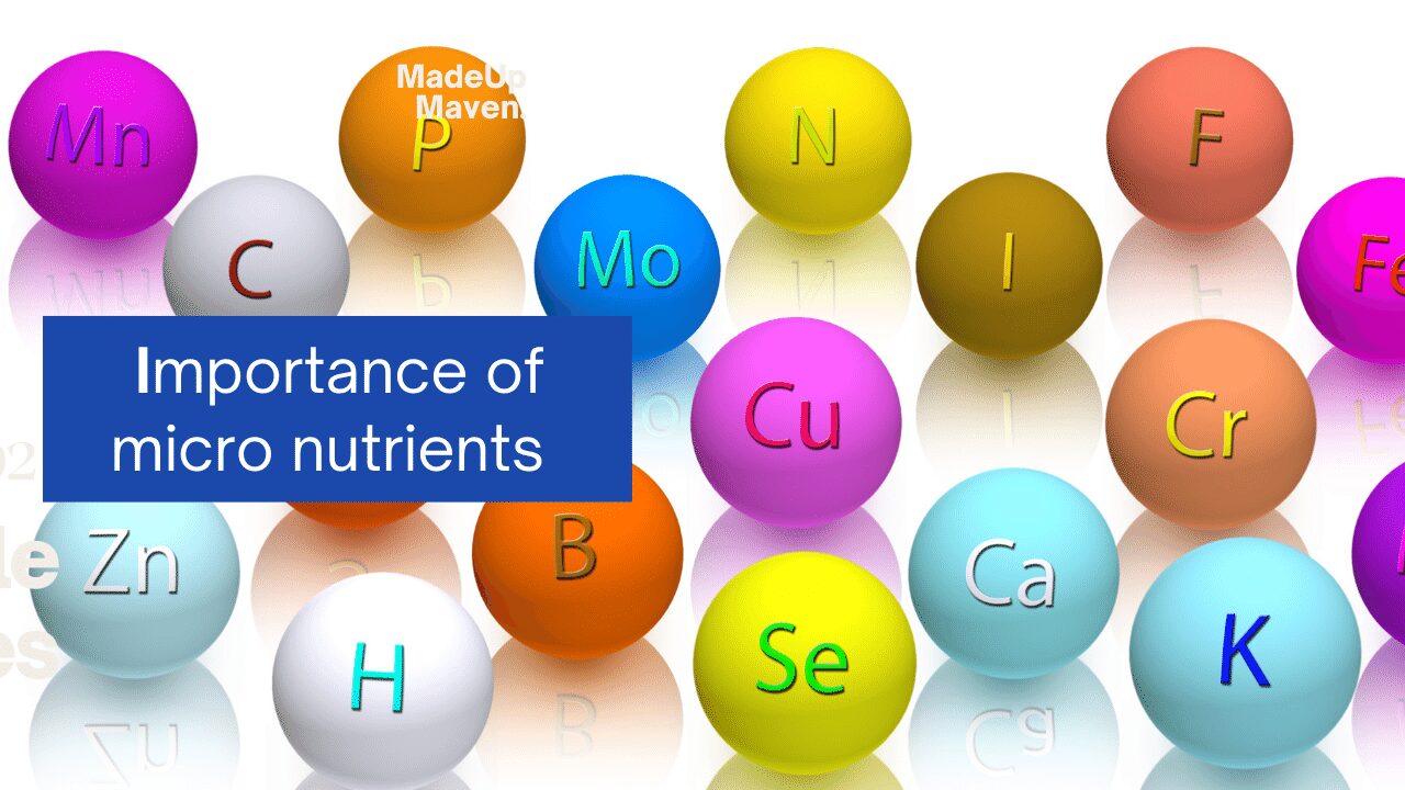 what-are-micronutrients-in-food