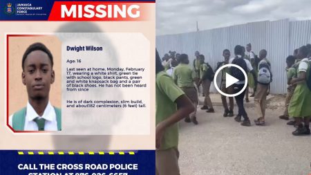 School boy missing after assaulting another student