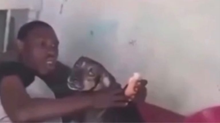 Country man goes viral with dog in bed